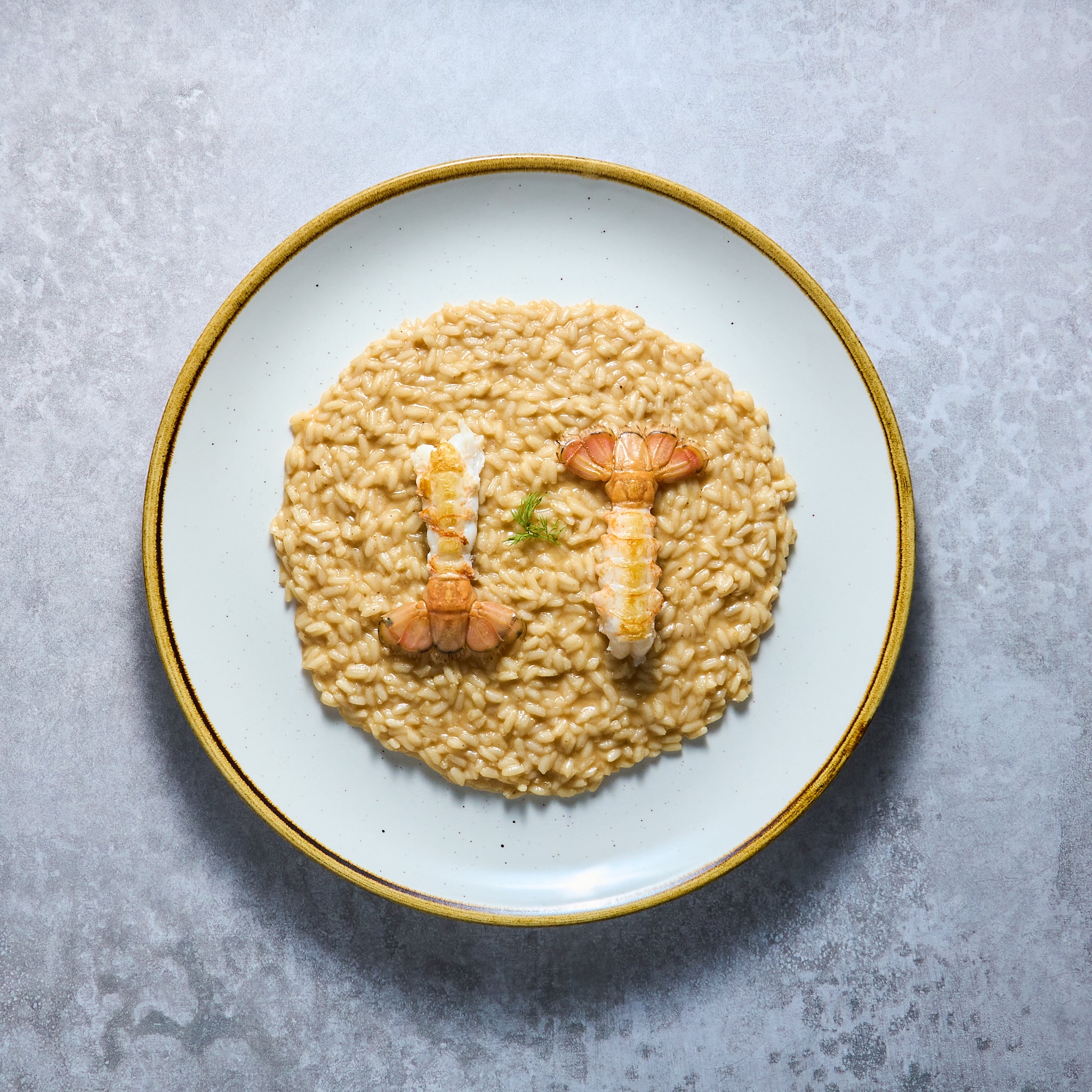 Risotto Crémeux aux Langoustines